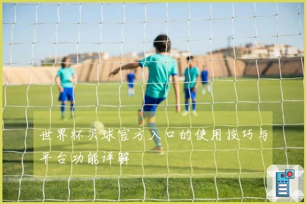 世界杯买球官方入口的使用技巧与平台功能详解