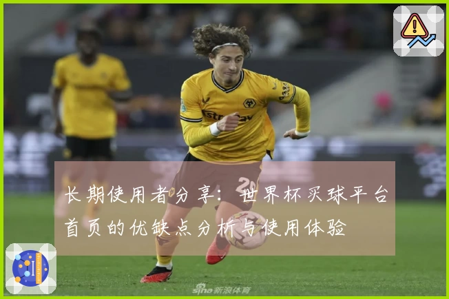 长期使用者分享：世界杯买球平台首页的优缺点分析与使用体验