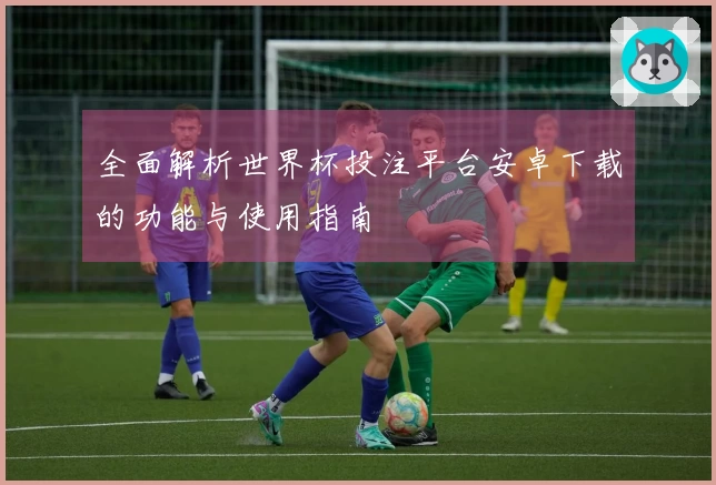 全面解析世界杯投注平台安卓下载的功能与使用指南