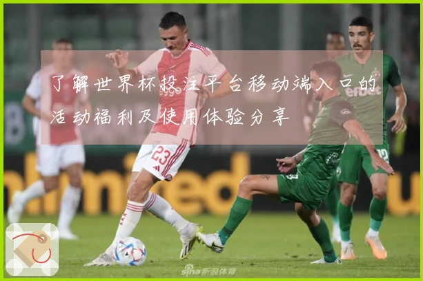 了解世界杯投注平台移动端入口的活动福利及使用体验分享