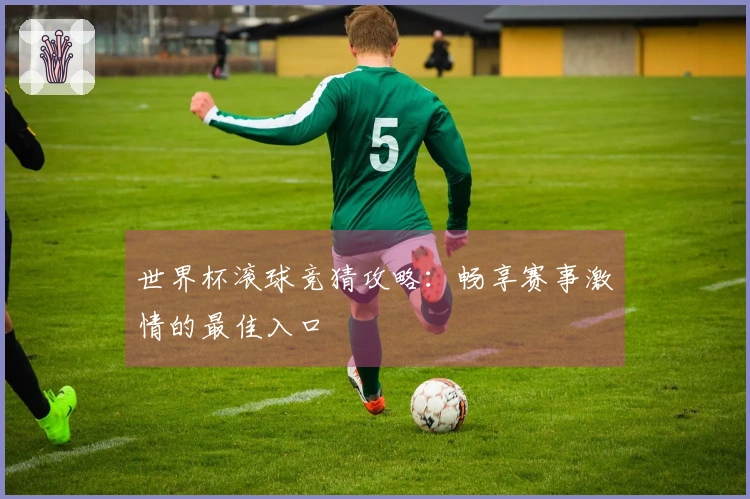 世界杯滚球竞猜攻略：畅享赛事激情的最佳入口