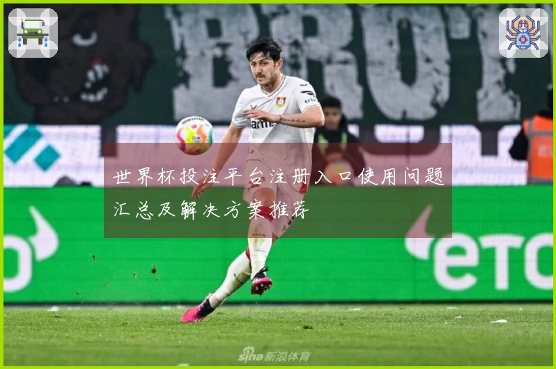 世界杯投注平台注册入口使用问题汇总及解决方案推荐