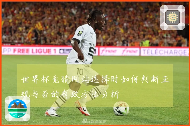 世界杯竞猜网站选择时如何判断正规与否的有效方法分析