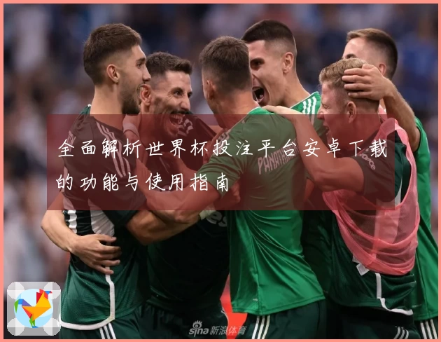 全面解析世界杯投注平台安卓下载的功能与使用指南