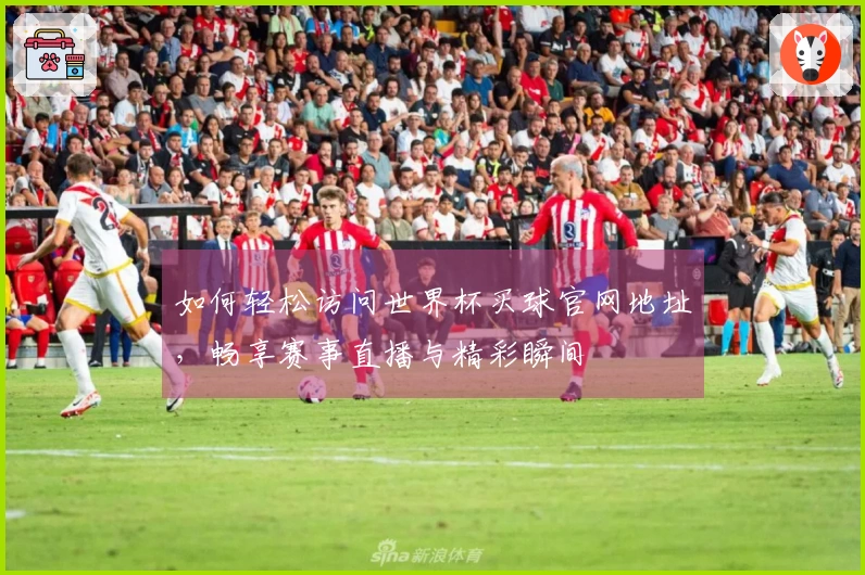 如何轻松访问世界杯买球官网地址，畅享赛事直播与精彩瞬间