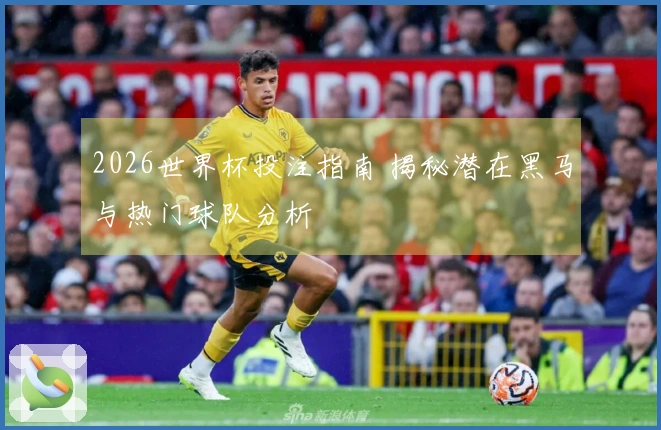 2026世界杯投注指南 揭秘潜在黑马与热门球队分析