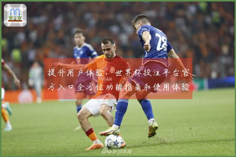 提升用户体验，世界杯投注平台官方入口全方位功能指南和使用体验分享