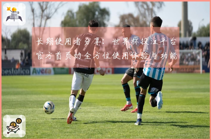 长期使用者分享：世界杯投注平台官方首页的全方位使用体验与功能评测