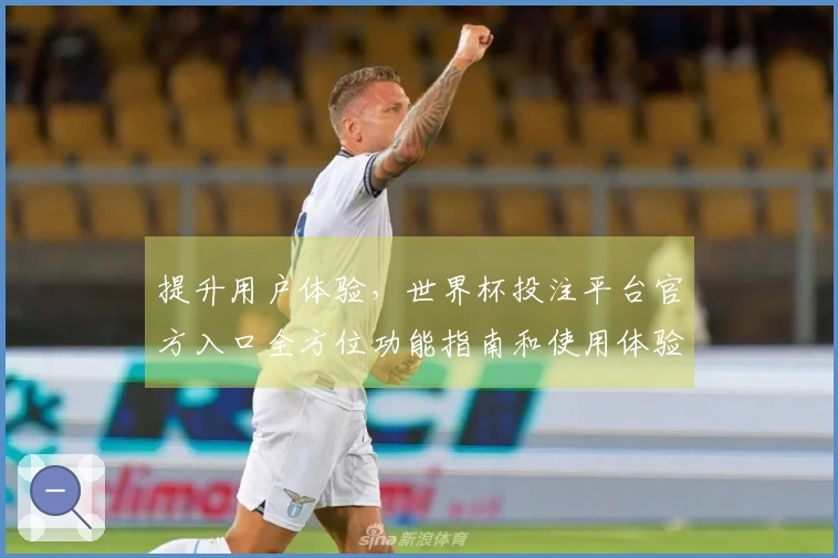 提升用户体验,世界杯投注平台官方入口全方位功能指南和使用体验分享