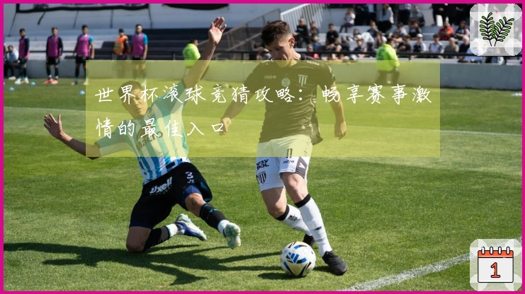 世界杯滚球竞猜攻略：畅享赛事激情的最佳入口