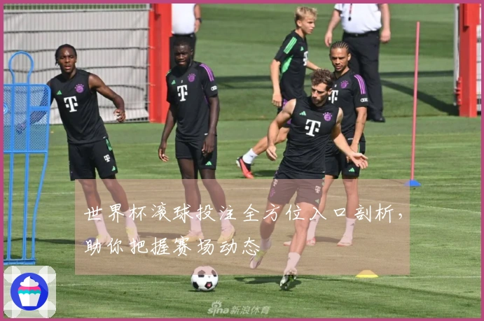 世界杯滚球投注全方位入口剖析，助你把握赛场动态