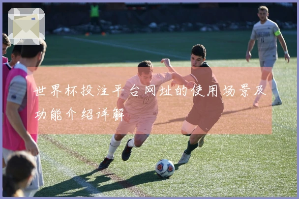 世界杯投注平台网址的使用场景及功能介绍详解