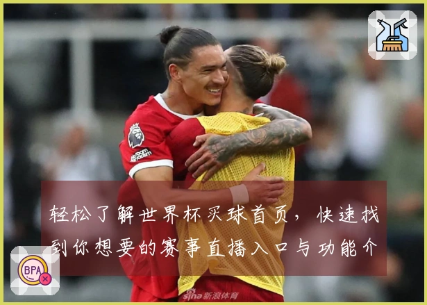 轻松了解世界杯买球首页，快速找到你想要的赛事直播入口与功能介绍